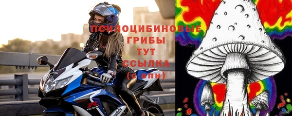 прущие крисы Чекалин