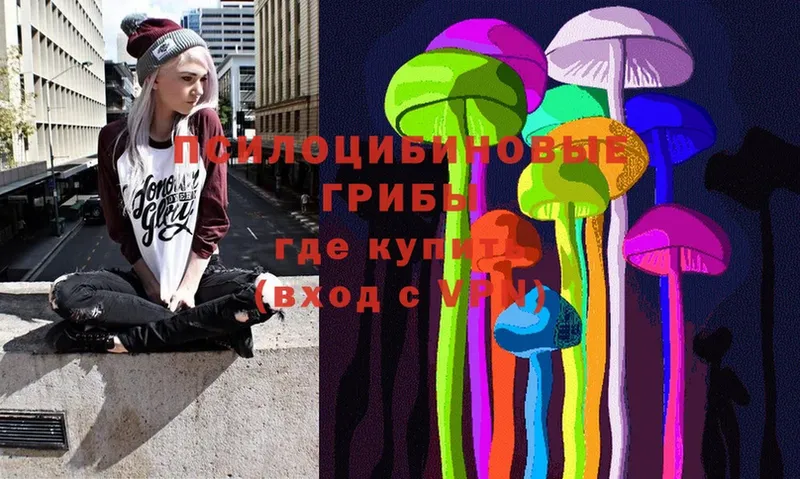 Галлюциногенные грибы Psilocybe  Шахты 