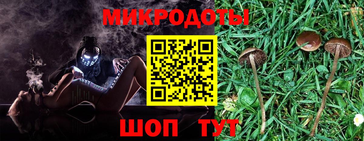 где купить наркоту  Галлюциногенные грибы Cubensis  Вход с VPN  Шахты 