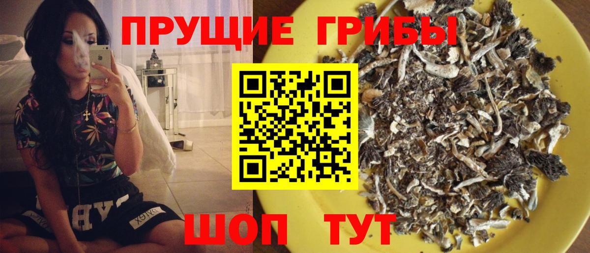 Галлюциногенные грибы Magic Shrooms Шахты